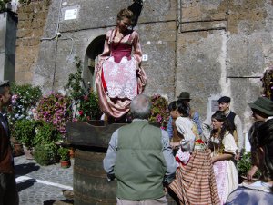 vendemmia